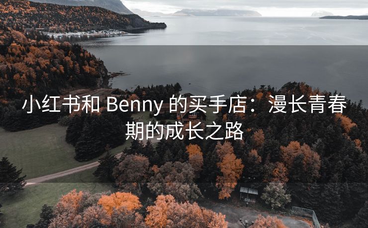 小红书和 Benny 的买手店：漫长青春期的成长之路