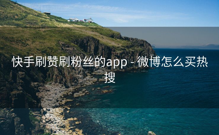 快手刷赞刷粉丝的app - 微博怎么买热搜