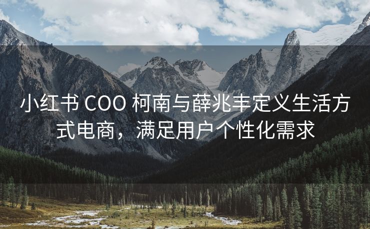 小红书 COO 柯南与薛兆丰定义生活方式电商，满足用户个性化需求