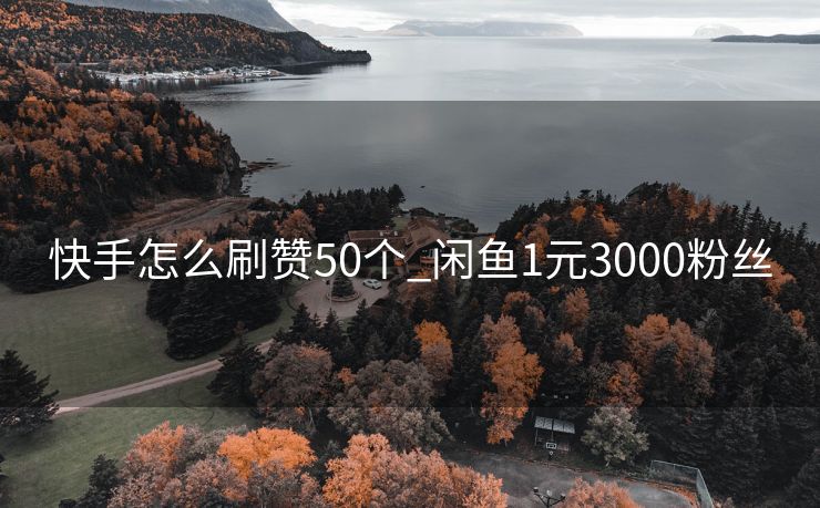 快手怎么刷赞50个_闲鱼1元3000粉丝