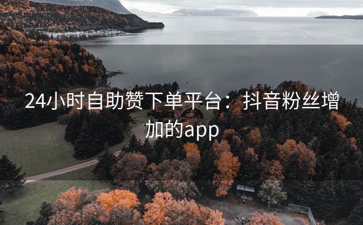 24小时自助赞下单平台：抖音粉丝增加的app