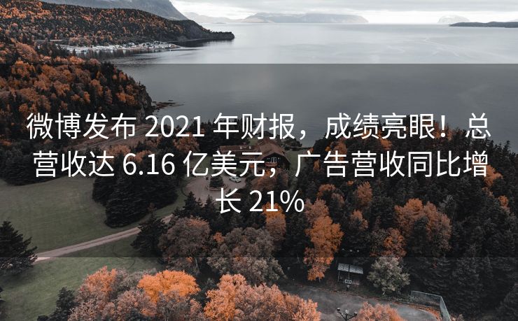 微博发布 2021 年财报，成绩亮眼！总营收达 6.16 亿美元，广告营收同比增长 21%