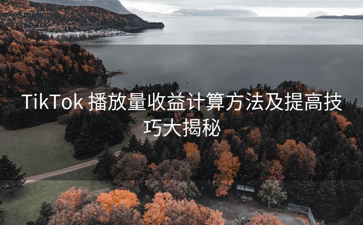 TikTok 播放量收益计算方法及提高技巧大揭秘