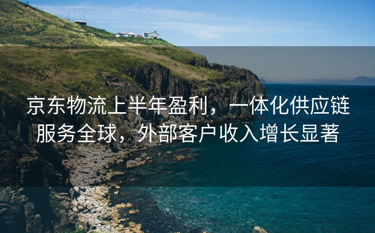 京东物流上半年盈利，一体化供应链服务全球，外部客户收入增长显著