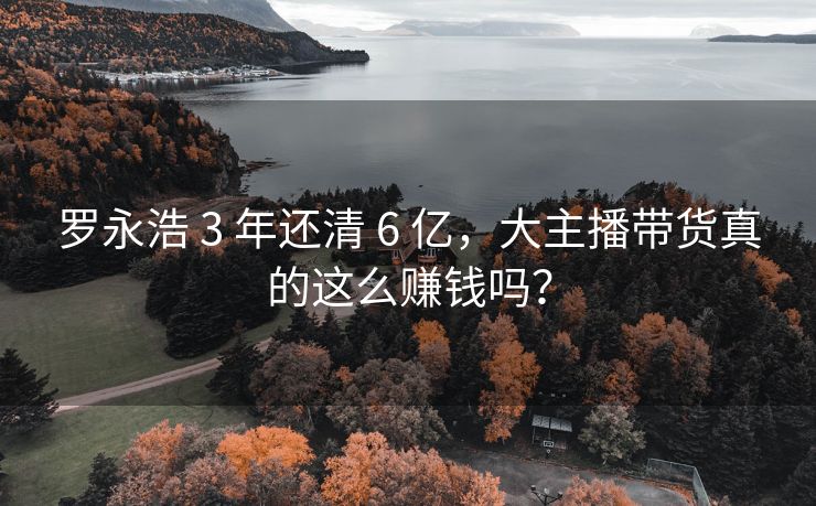 罗永浩 3 年还清 6 亿，大主播带货真的这么赚钱吗？