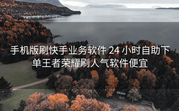 手机版刷快手业务软件 24 小时自助下单王者荣耀刷人气软件便宜